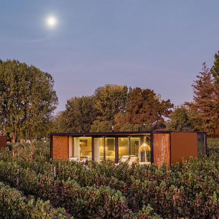 Vibo Wine Lodge At Viu Manent Santa Cruz Exterior photo