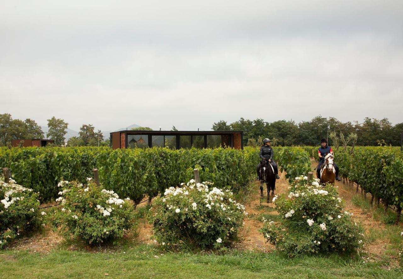 Vibo Wine Lodge At Viu Manent Santa Cruz Exterior photo