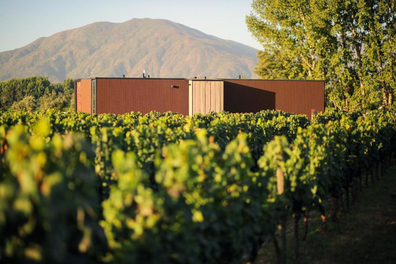Vibo Wine Lodge At Viu Manent Santa Cruz Exterior photo