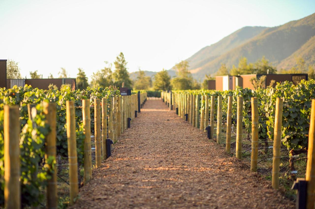 Vibo Wine Lodge At Viu Manent Santa Cruz Exterior photo